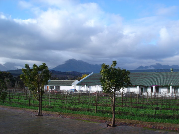 From Capetown to Winelands, South Africa